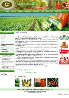Thiết kế website việt xanh